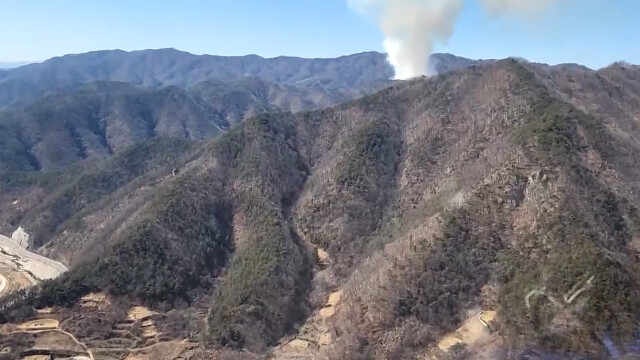 민간조사단 "경북산불, 숲가꾸기·간벌이 피해 키웠다"