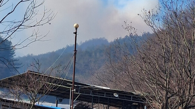 경북 봉화 산불, 1시간 50분 만에 주불 진화 완료