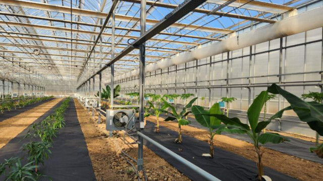 경북 영천시, 아열대 작물 창업 교육 과정 교육생 모집