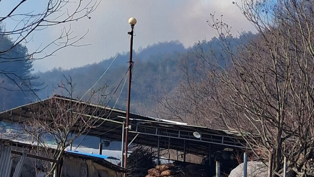 경북 봉화 산불 완진···사유림 0.7ha 소실