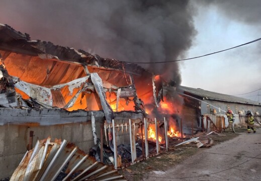 구미 돈사 화재로 돼지 800마리 폐사