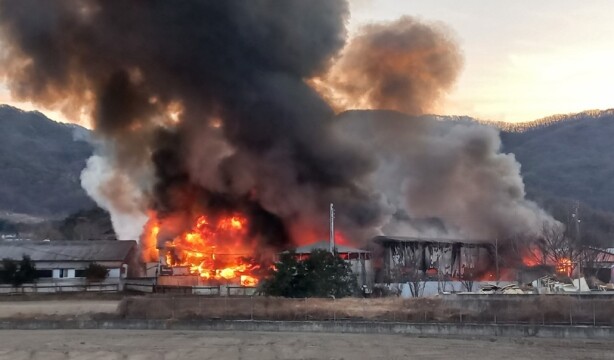경북 구미 돈사 화재로 돼지 800마리 폐사···4억 9천여만 원 피해