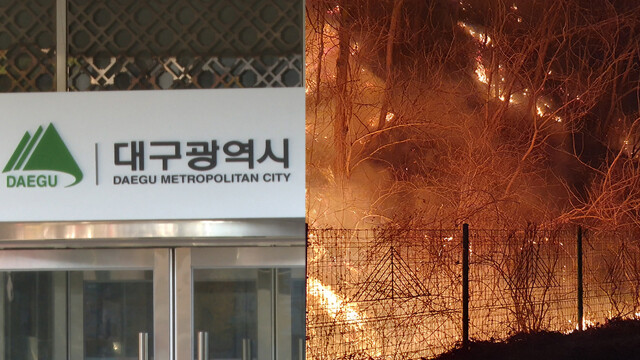 대구시, 산불 경계 단계에 ‘탄력적 입산 통제’