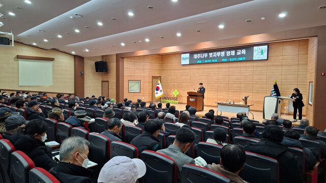 "대추나무 빗자루병, 빠른 발견과 관리가 무엇보다 중요"