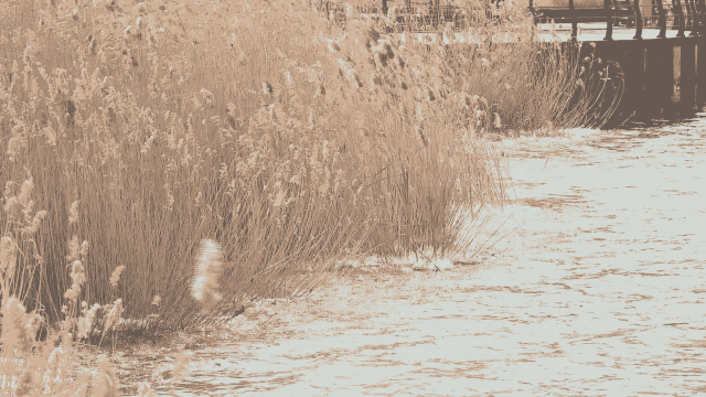 건조특보 속 월요일 출근길 대구·경북 '눈'···빙판길 주의