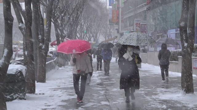 경북 문경 10.8cm·대구 1.7cm 눈···빙판길 주의