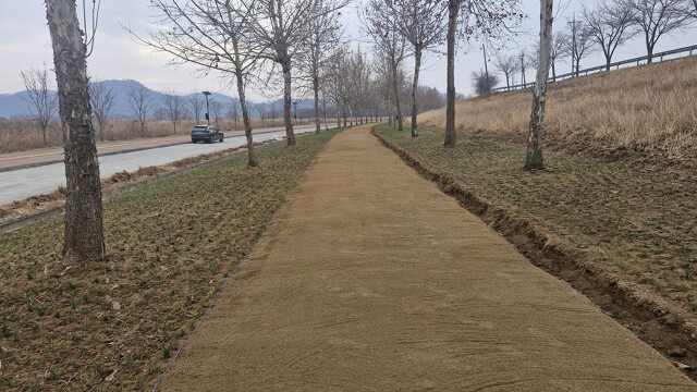 경북 구미시, 낙동강 체육공원 '플라타너스 맨발 길' 정비