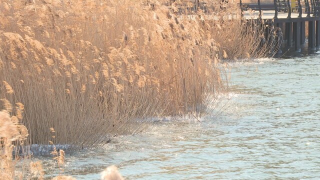 대구·경북, 낮 기온 15도 안팎까지 올라 포근···금요일은 기온 '뚝'