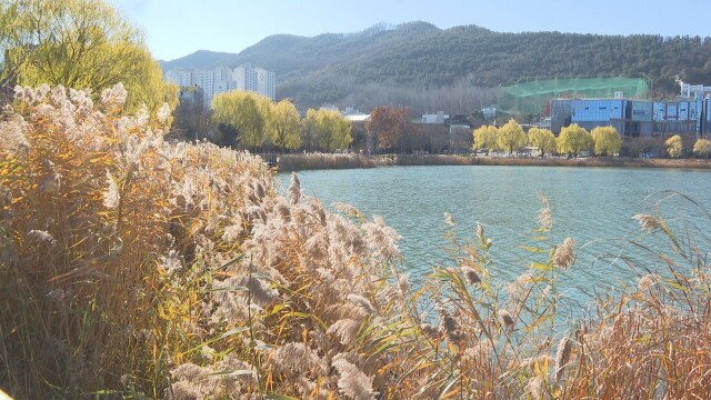 대구·경북 낮 기온 14도까지 올라···미세먼지 '나쁨'