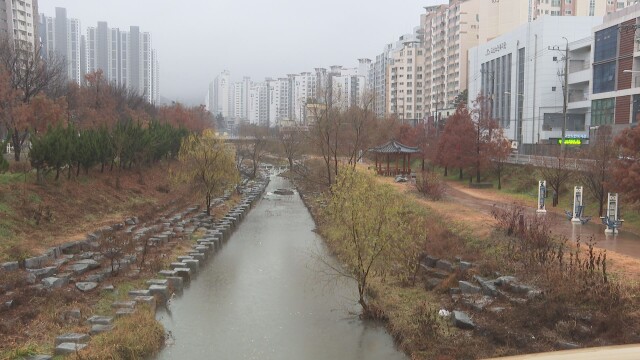 대구·경북 반짝 강추위···다음 주 화요일 기온 회복할 듯