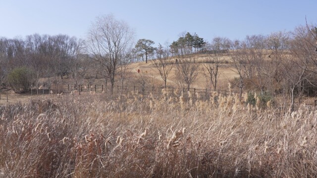 대구·경북 낮 최고 6~8도, 건조특보 강화···주말 영하권 강추위