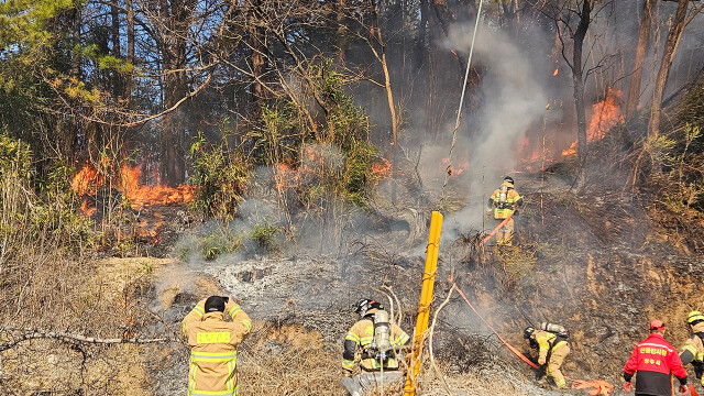 대구·경북 야산 근처 잇따라 불···"불씨 관리 주의해야"