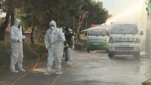 경북 봉화군 AI 의심 사례 발생..올해 경북 가금공장 첫 발생