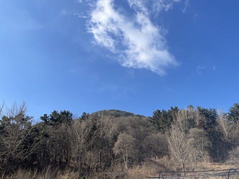 건조특보·한파특보…월요일 아침까지 강추위 이어져