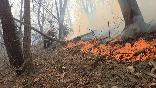 경주 문무대왕면 산불 관련 '국가 소방 동원령' 발령