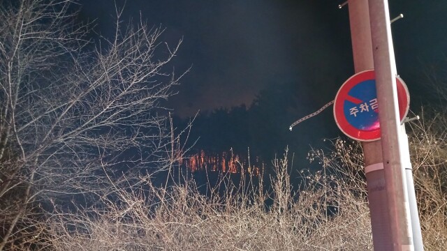 경북 포항 장성동 산불···사유림 0.2ha 소실