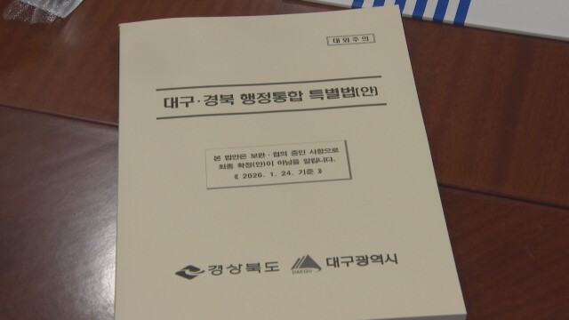 대구·경북 행정 통합 특별법 '최저임금 미적용 독소조항' 삭제 심사
