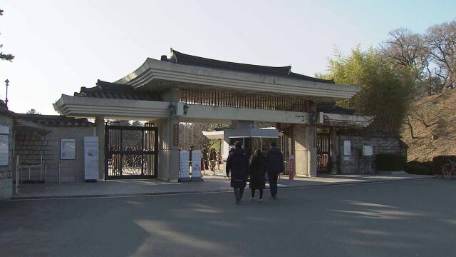 박물관 '오픈런' 신라 금관···10년마다 경주서 모인다