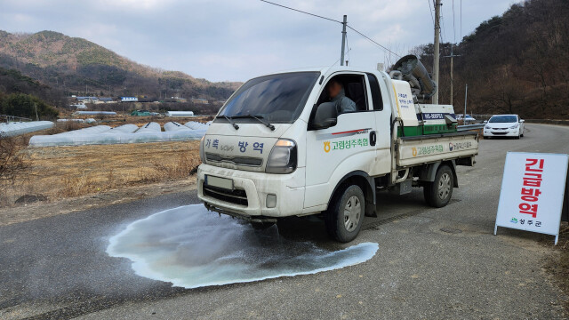 경북 성주군 오리농장에서 검출된 조류인플루엔자 '고병원성'