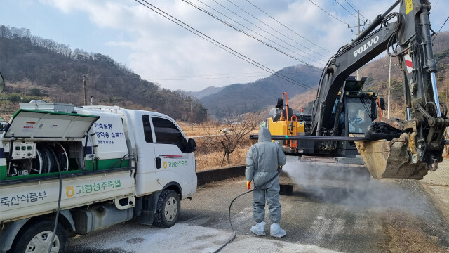 경북 성주 오리농장 고병원성 조류인플루엔자 추가 확진···봉화 이어 두 번째