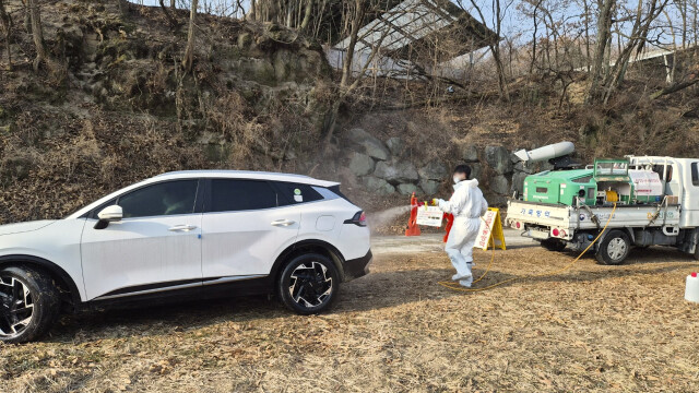 경북 봉화 산란계 농장서 고병원성 AI 항원 또 검출