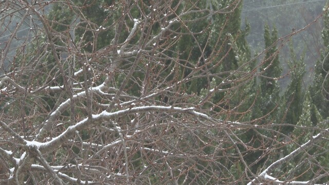 대구·경북 화요일 눈·비···한낮 4~8도