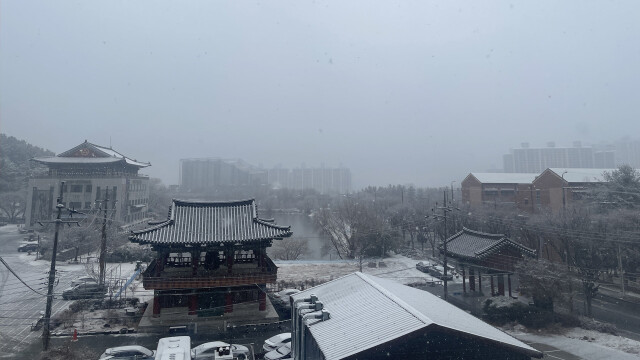 대구에 1cm 넘는 눈···달성군 옥포읍 용연사~명곡 방면 교통 통제