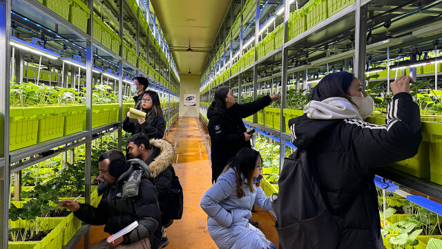 경북대, 코이카(KOICA) 국제개발 협력 사업 2개 선정