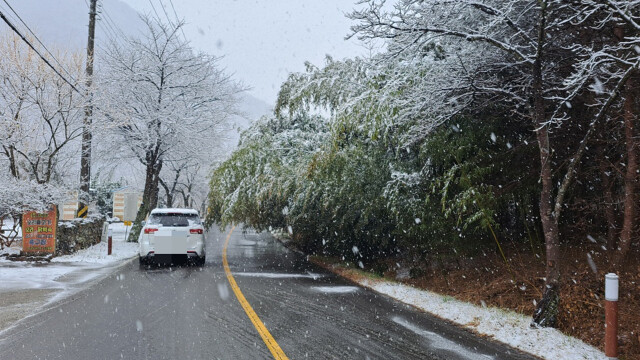 계속 내리는 눈에 고립되고 미끄러지고···대구·경북 사고 잇따라