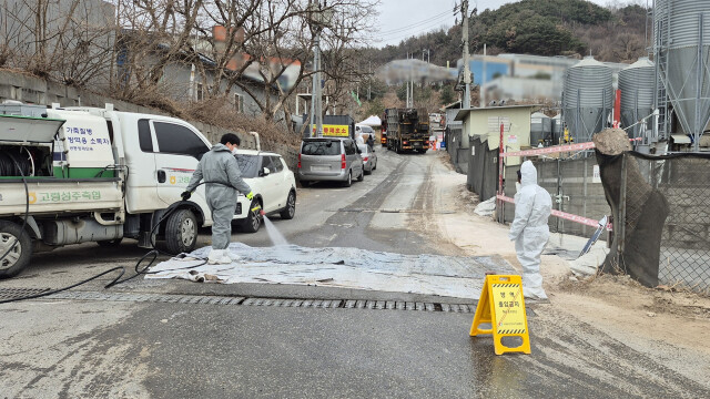 [속보] 경북 성주군 산란계 농장에서 검출된 조류인플루엔자 '고병원성'으로 확인