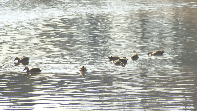 대구·경북 맑다가 밤부터 흐려져…경북 북부 동해안·북동산지 밤부터 비나 눈