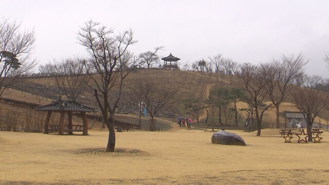 3·1절, 대구·경북 '대체로 흐림'···낮 기온, 전날과 비슷