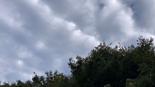 대구·경북 낮 최고 9~14도 '구름 많음'···동해안 풍랑특보