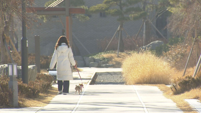 대구·경북 종일 흐리고 강풍 불어…낮 최고 6~12도
