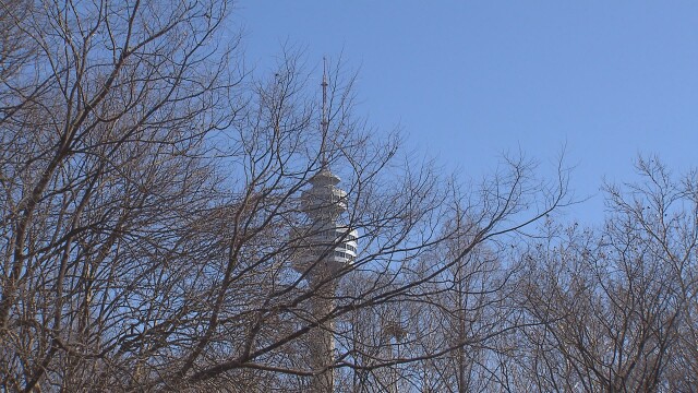 대구·경북 대체로 맑다가 오후부터 구름 많음.. 낮 최고 8~12도