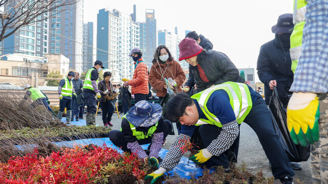 대구서 봄철 나무 나눠주기 행사 13일 열려