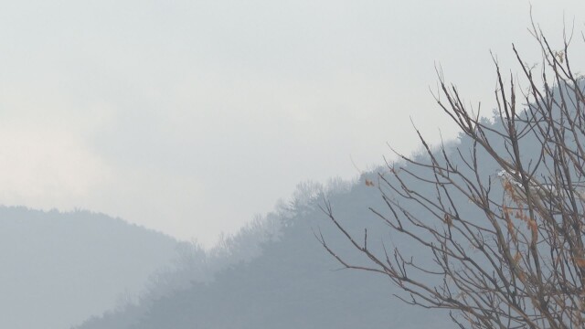 대구·경북 오후 곳곳에 비···경북 동해안·산지 금요일까지 눈·비