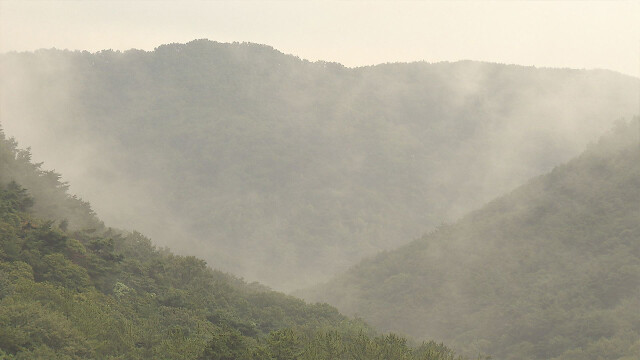 흐리고 오후 한때 비나 눈⋯강풍, 천둥·번개, 우박 주의