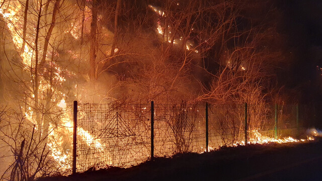 3월 14일부터 '대형 산불 특별 대책 기간'···정부, 대응 체계 강화