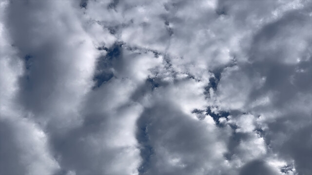 대구·경북, 동해안 중심 비·눈···일부 지역 최대 19.7cm 적설