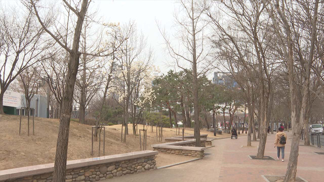 대구·경북 흐리고 곳에 따라 비···대구 낮 최고 13도