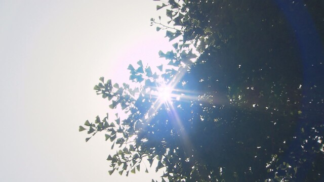 6월부터 '폭염 중대경보'·'열대야 주의보' 신설