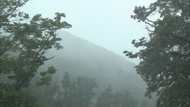 대구·경북 대체로 맑음···낮 최고기온 12∼17도