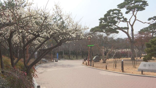 대구·경북 일교차 큰 날씨 계속…산불 예방에 유의해야