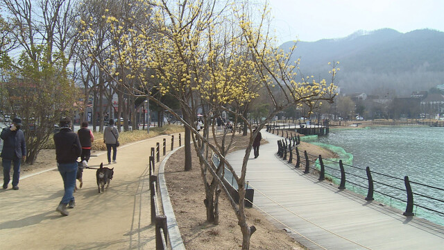 대구·경북 목요일 낮 최고 16~23도까지 올라···일교차 주의