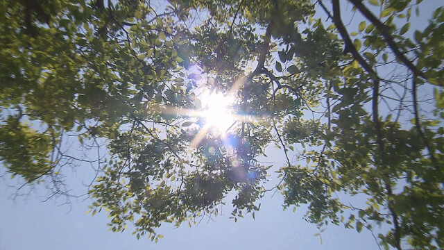 낮 최고 대구 23.8도, 김천 24.8도⋯"27일 기온 더 높아"