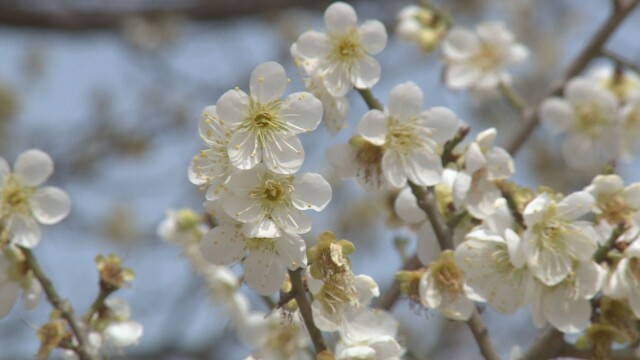 대구 24.8도까지 올라···주말도 낮 포근
