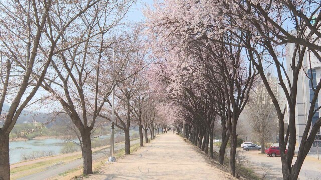 대구·경북 대체로 맑고 포근⋯미세먼지 '나쁨'
