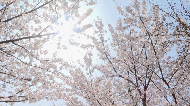 김천 24.2도…대구·경북 내일도 큰 일교차