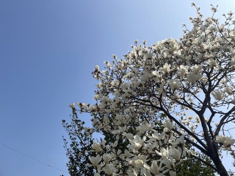 대구·경북 건조주의보…월요일 오후부터 비